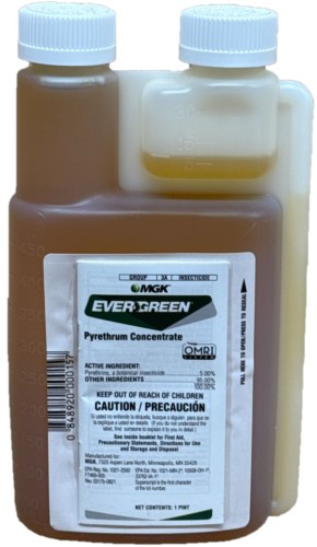 (image for) Evergreen Pyrethrum Insecticide - 1 Pint - OMRI Certified